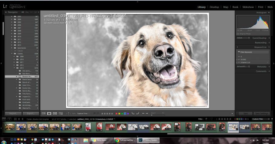 LIghtroom culling tutorial LIghtroom culling tutorial