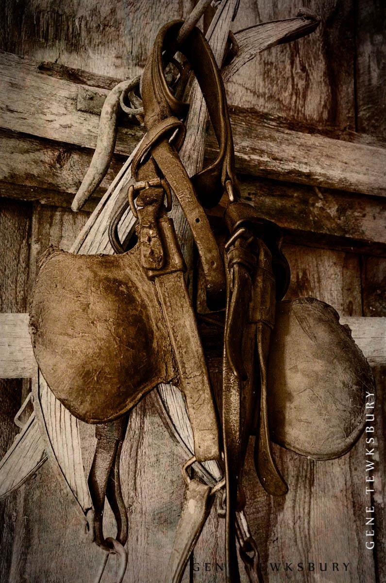 Equestrian Wall Art bridle and stirrups