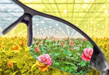 Cannabis Industry Gallery