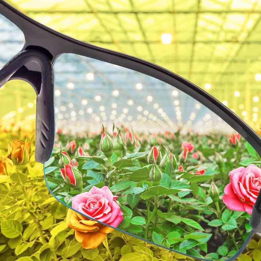 Product Photography - Gallery