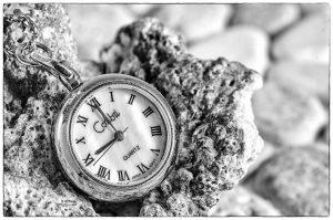 Jewelry & Watches Jewelry Photographer