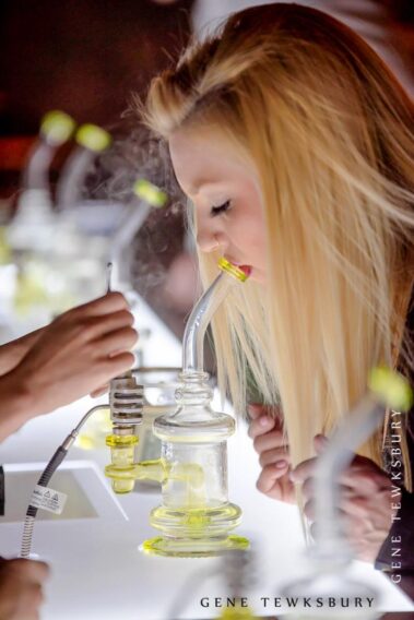 Cannabis Industry Gallery